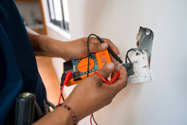 Best Local Electrician Companies  in Meadowdale, WA