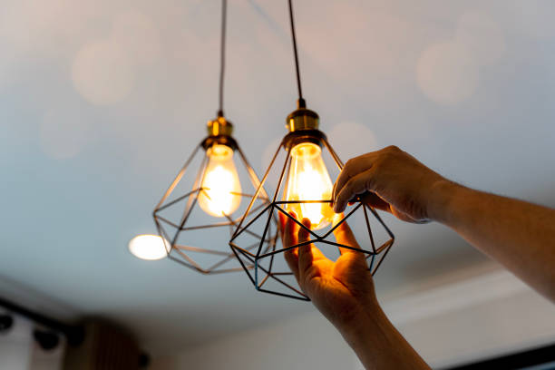 Best Ceiling Fan Installation Electrician  in Meadowdale, WA